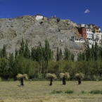 Indie - Ladakh