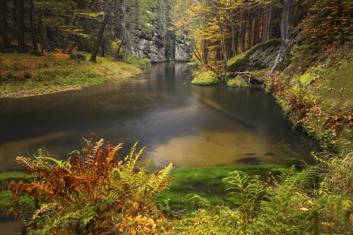 Kamenice