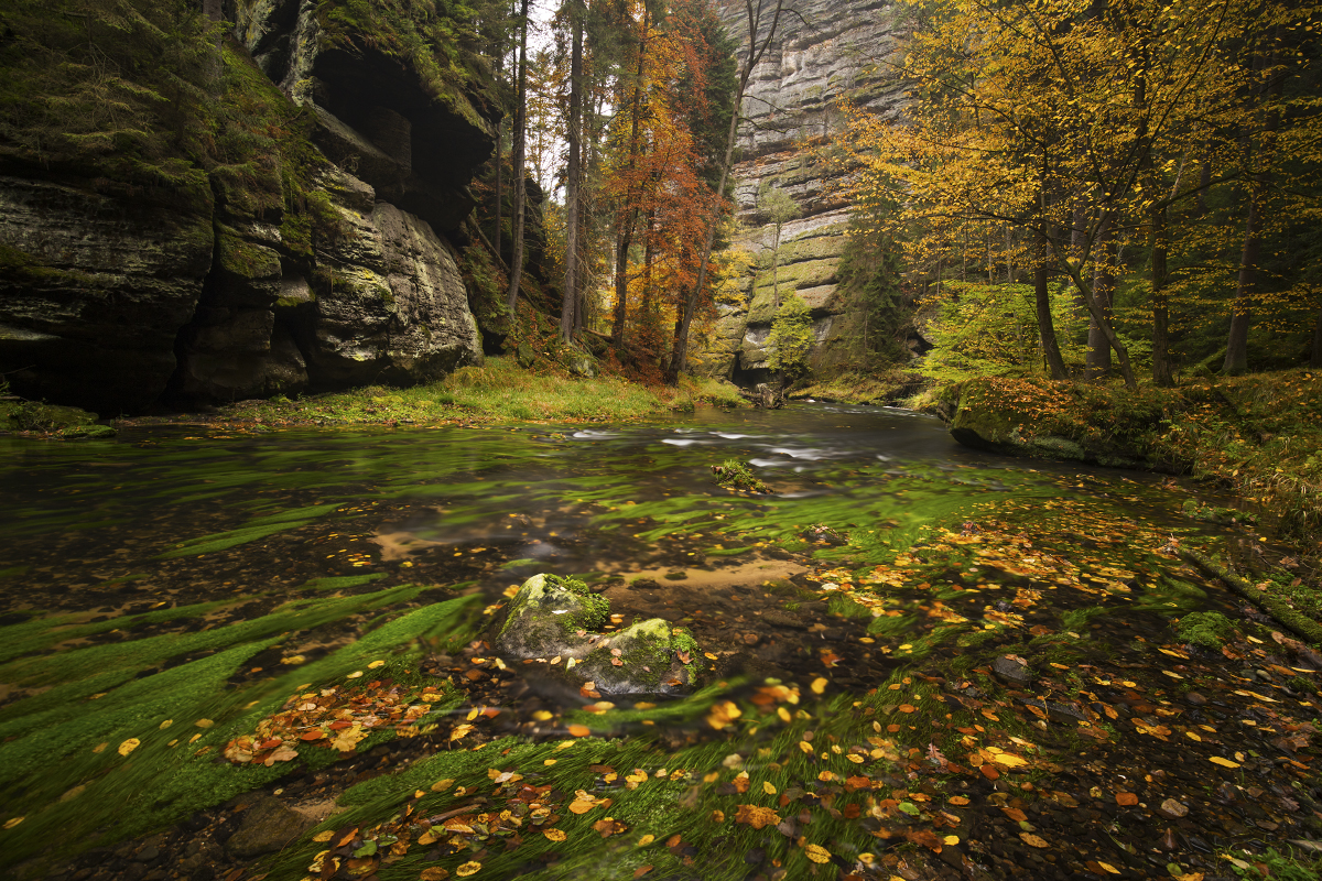 říčka Kamenice