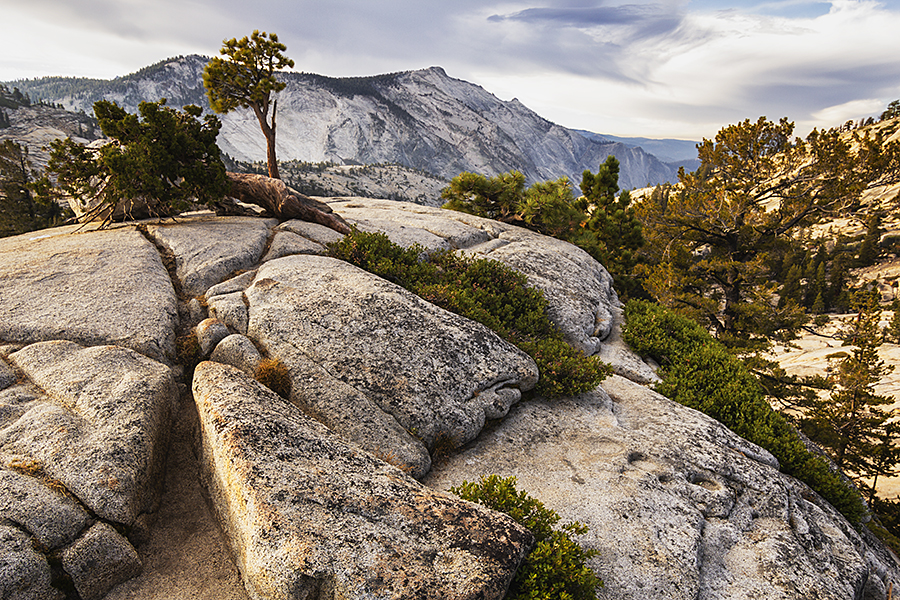 Tioga Pass