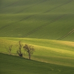 Jižní Morava