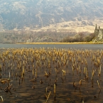Kilchurn Castle