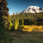 Mount Rainier,Washington