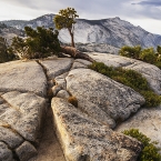 Tioga Pass